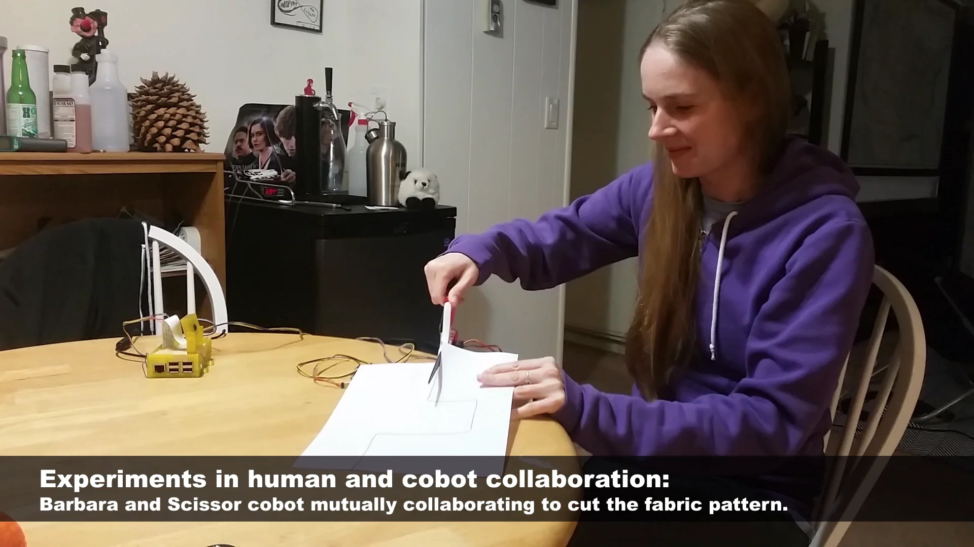 Barb and Scissor cobot