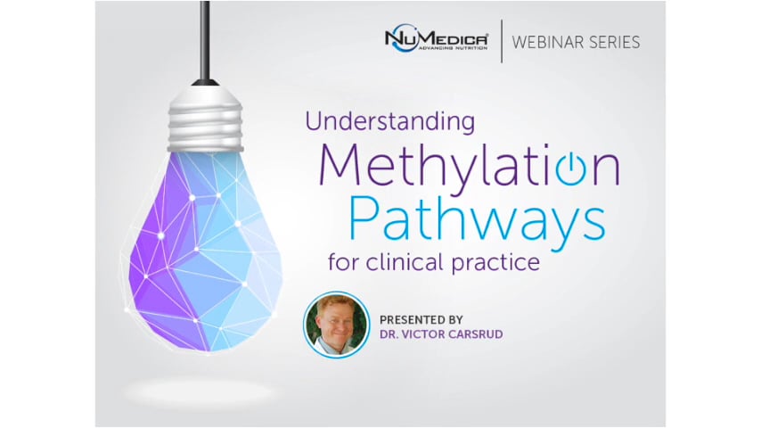 Understanding Methylation Pathways for Clinical Practice (part I)