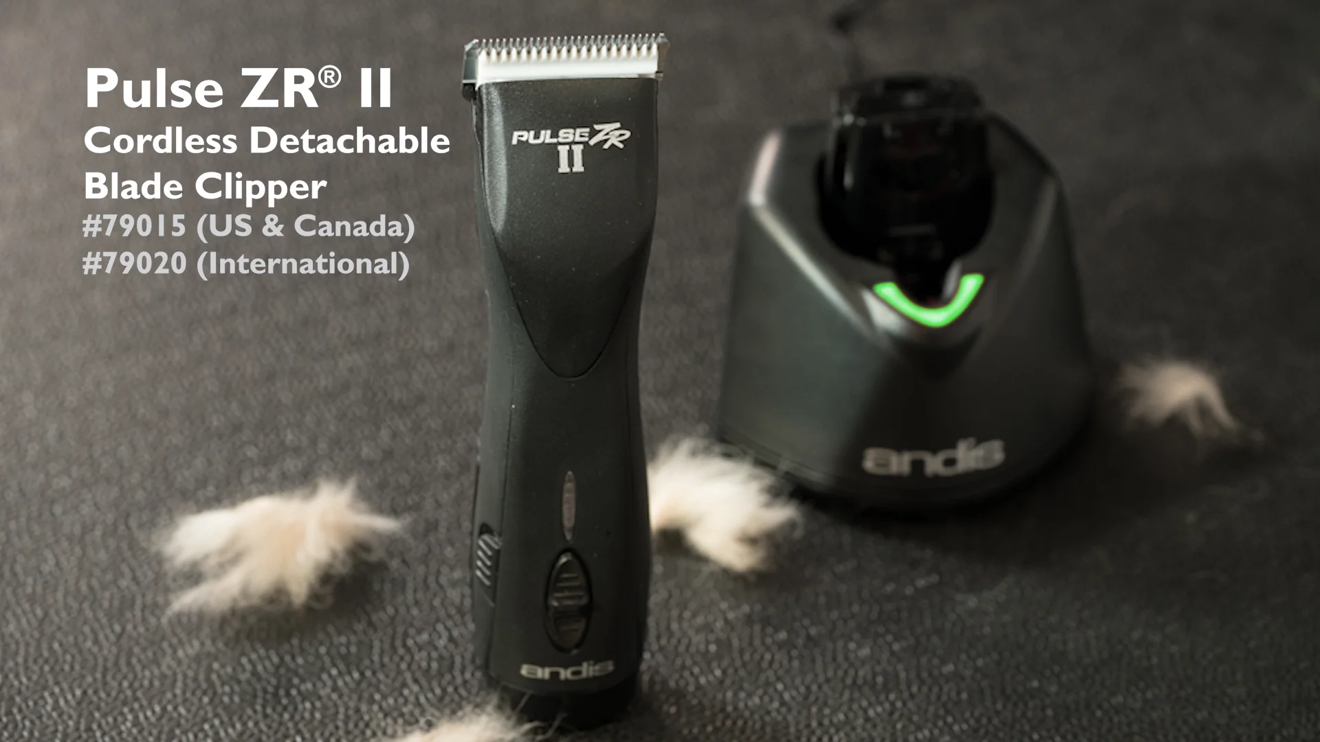 AN Pulse ZRII Detachable Blade Cordless Dog Clippers