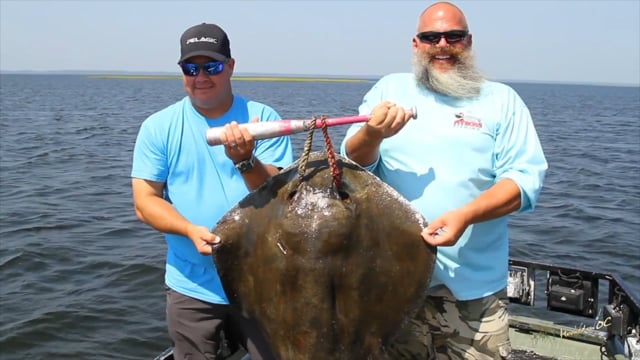 Dusk to Dawn Bow Fishing... Hooked on OC 2017 — Ocean City, Maryland