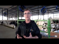 O sistema de Cow Cooling de DeLaval en SAT Hermanos Miguel