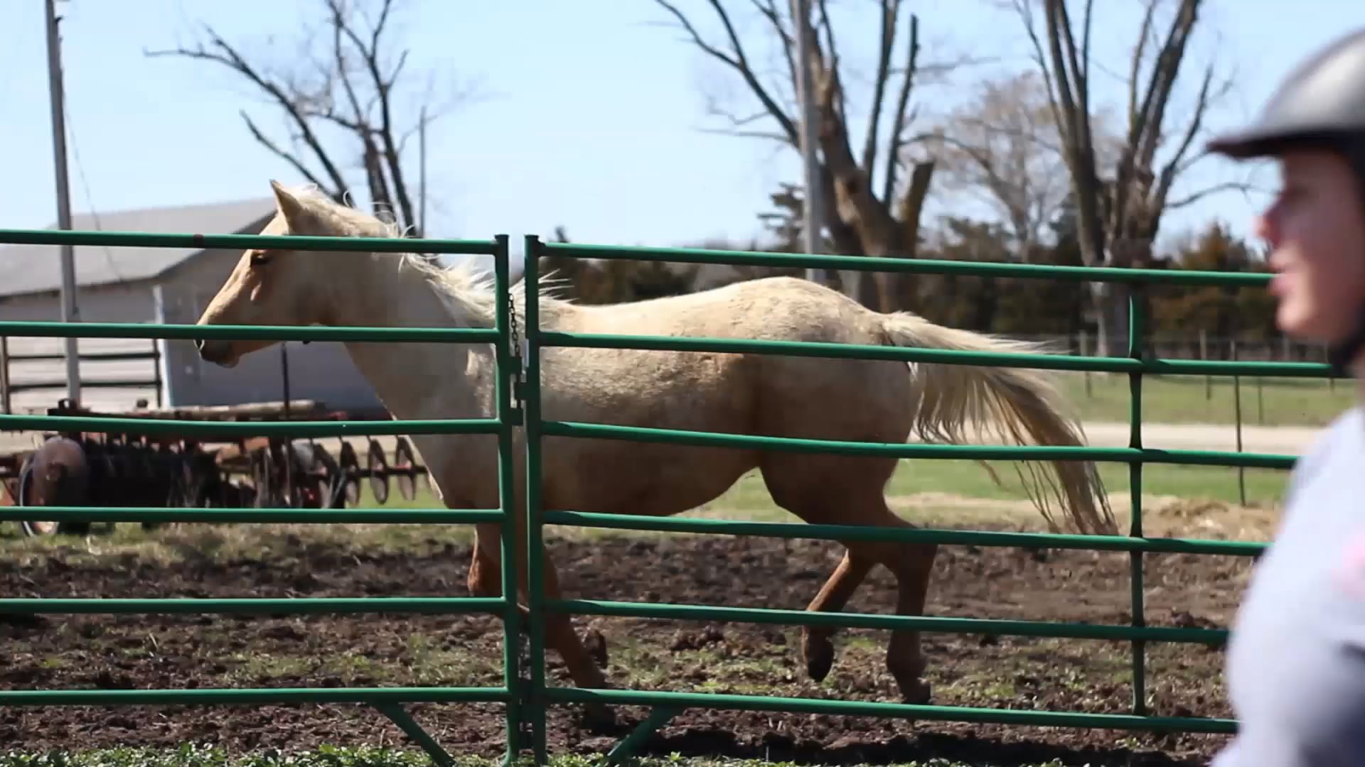 "HorseGirl" Trailer