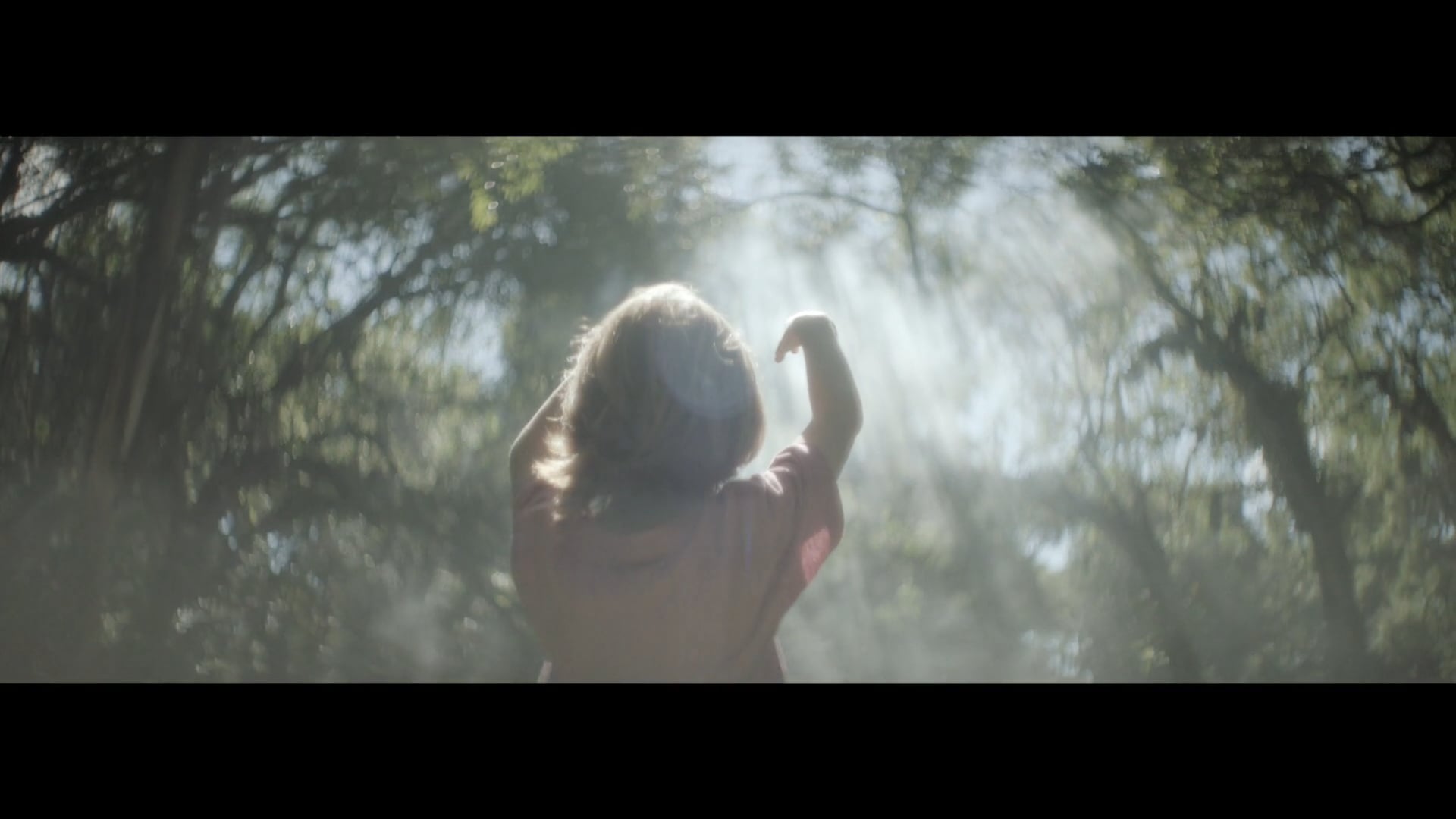 TOKIO MARINE - Decisões