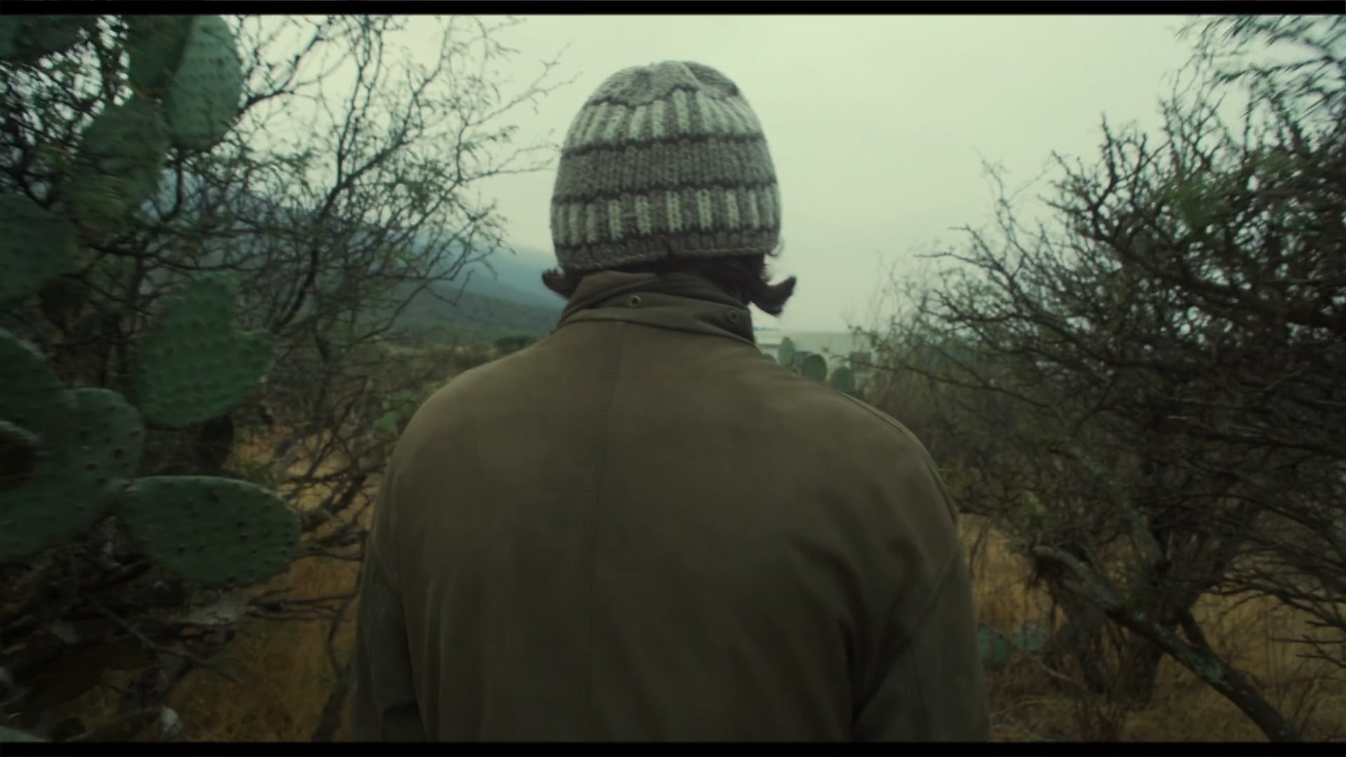 Perros, cabra, regar (2018)