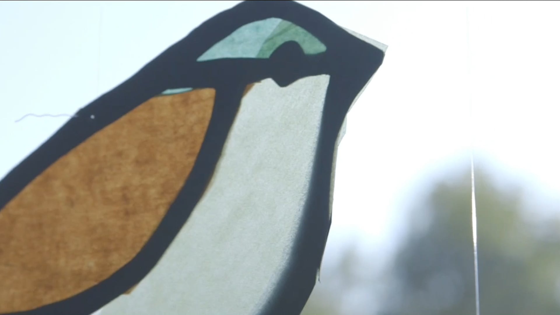 Arrière-pays - Les oiseaux et nous - HD