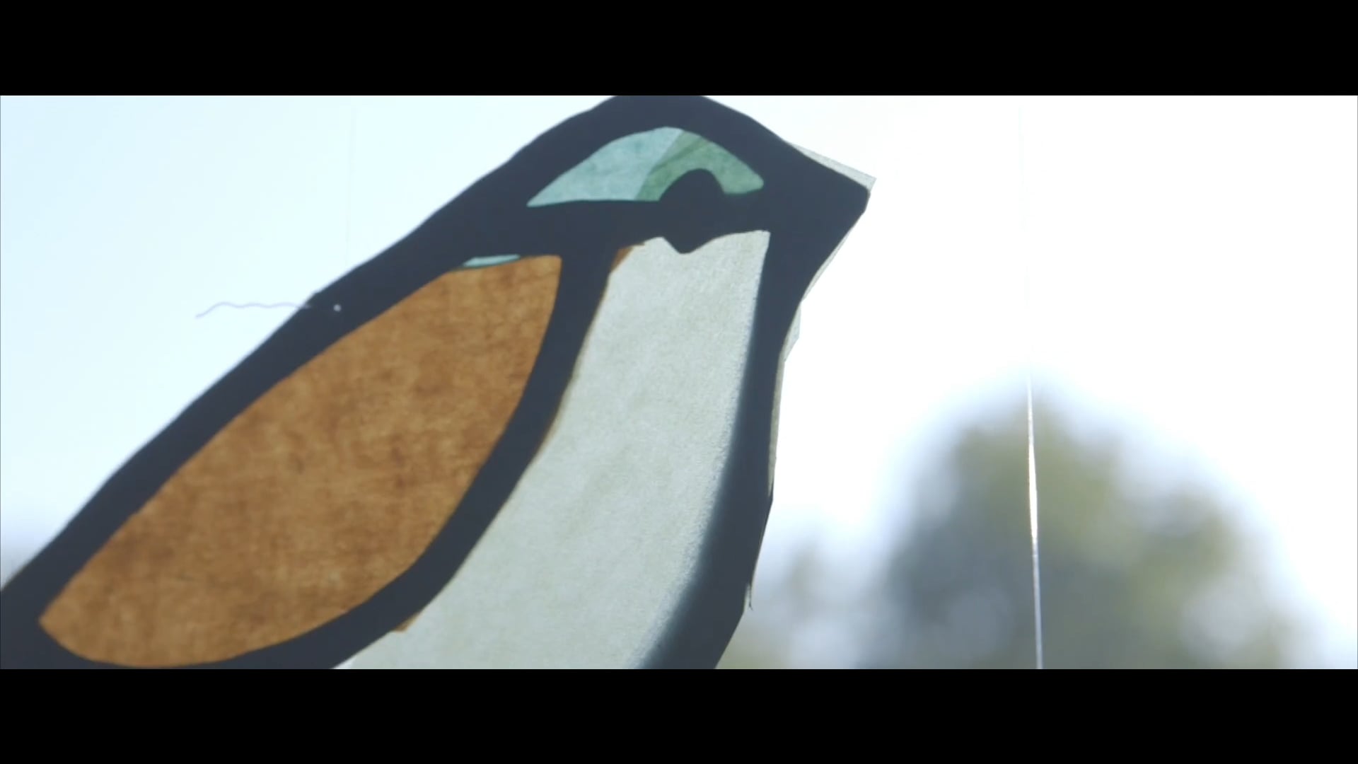 Arrière-pays - Les oiseaux et nous - HD