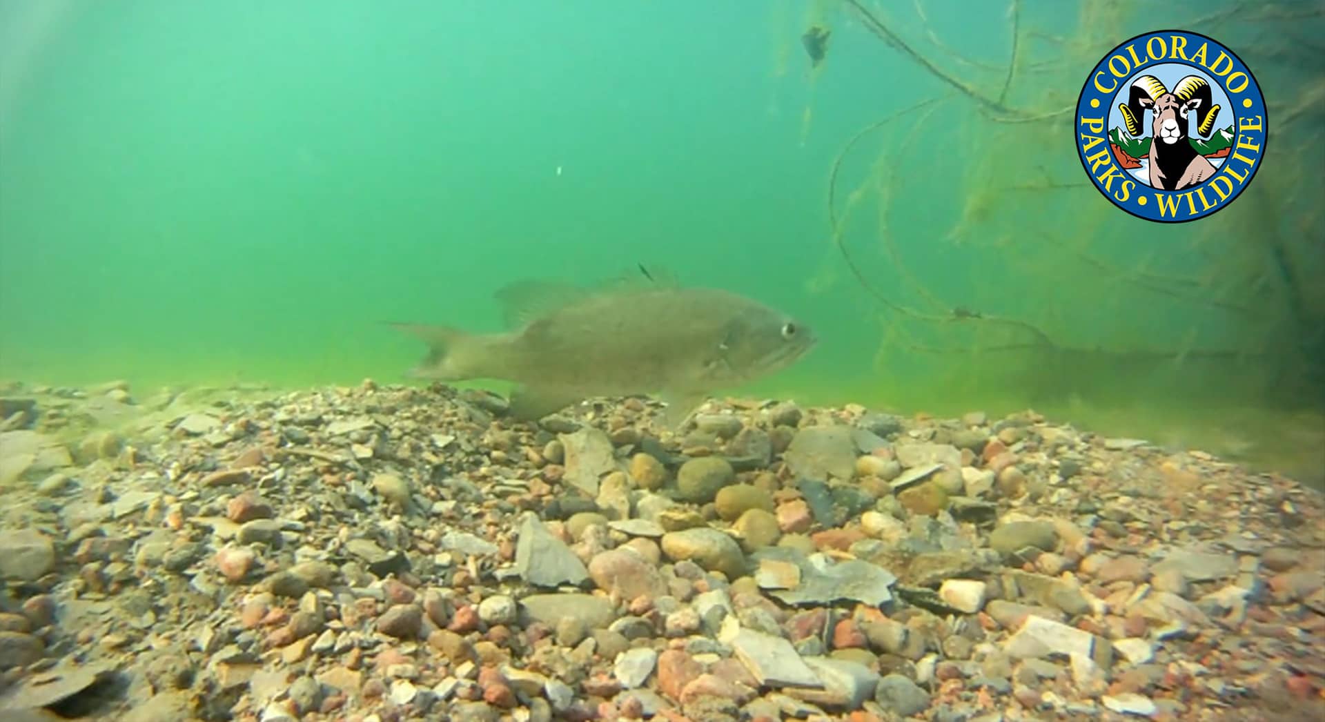 Fly Fishing Lake Pueblo State Park on Vimeo