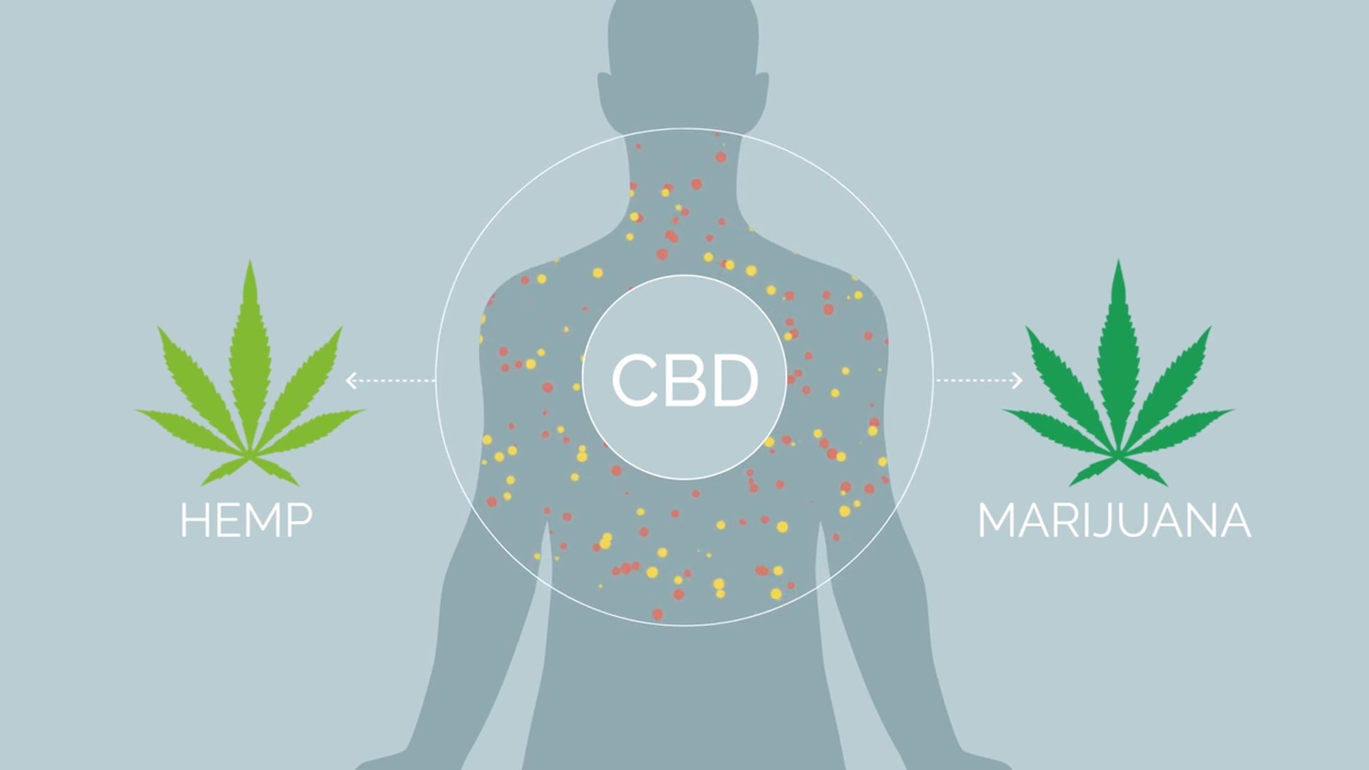 Hemp CBD: Myths vs Facts