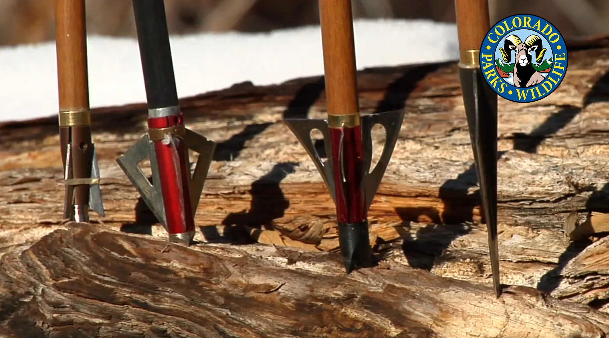 what-s-legal-archery-muzzleloaders-on-vimeo