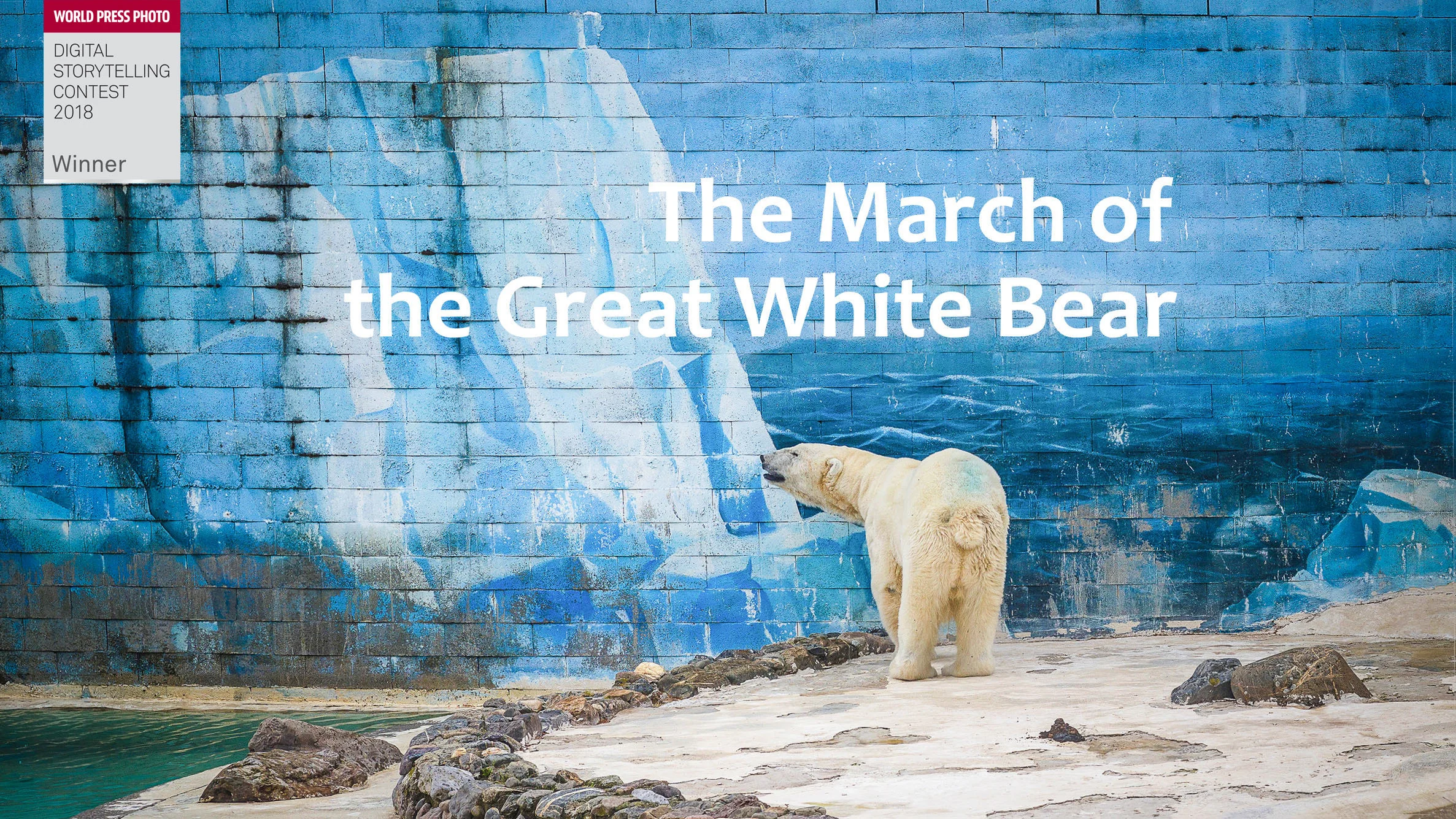 The March of the Great White Bear (2017) | Videos & Movies on Vimeo