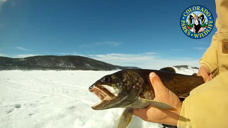 Ice Fishing - Granby Lake Trout on Vimeo