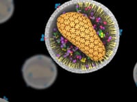 Newswise:Video Embedded u-of-u-health-led-research-awarded-28-million-to-explore-hiv-s-inner-workings-and-vulnerabilities