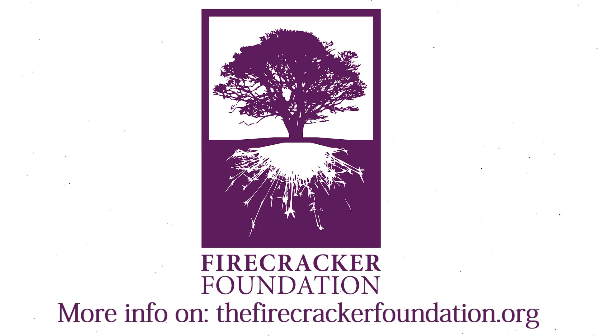 Light Video for the Firecracker Foundation