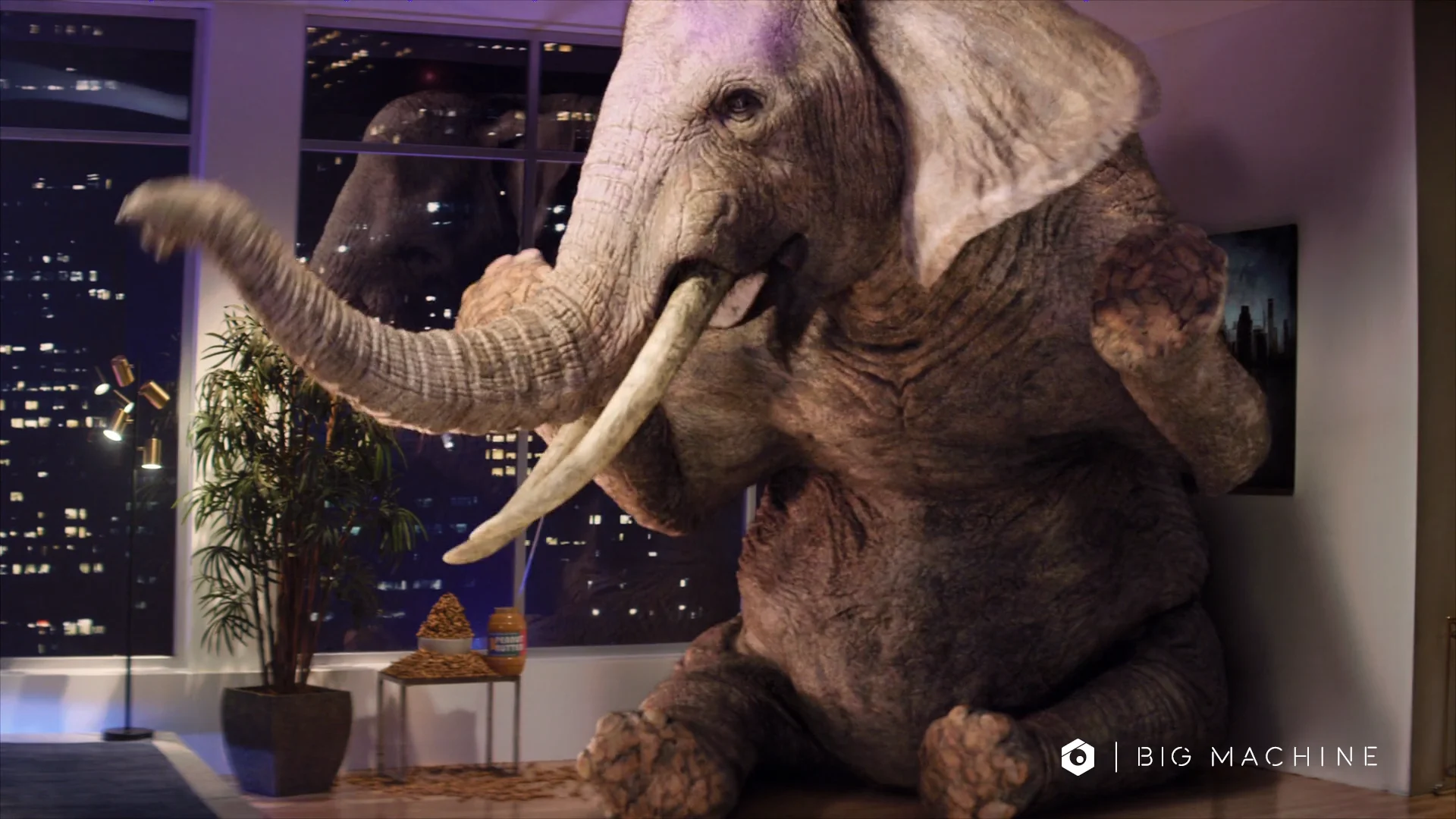 Glee' And The Problem Of The Fake Padded Elephant In The Room : NPR