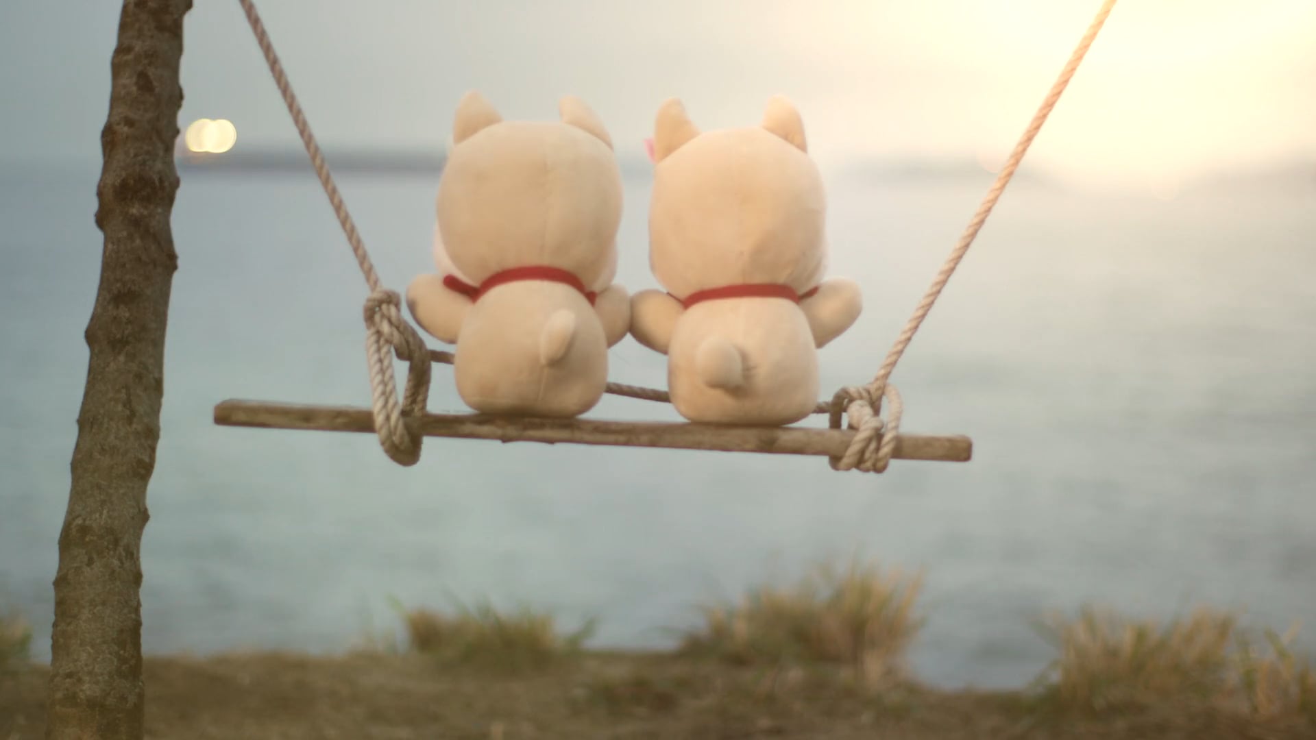 Huawei M10 sustaining social video_下集