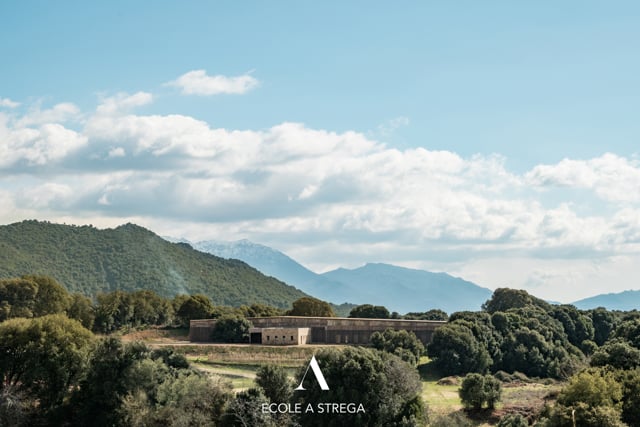 SCHOOL A STREGA 
