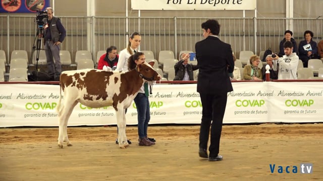 Xatas de 3 a 6 meses