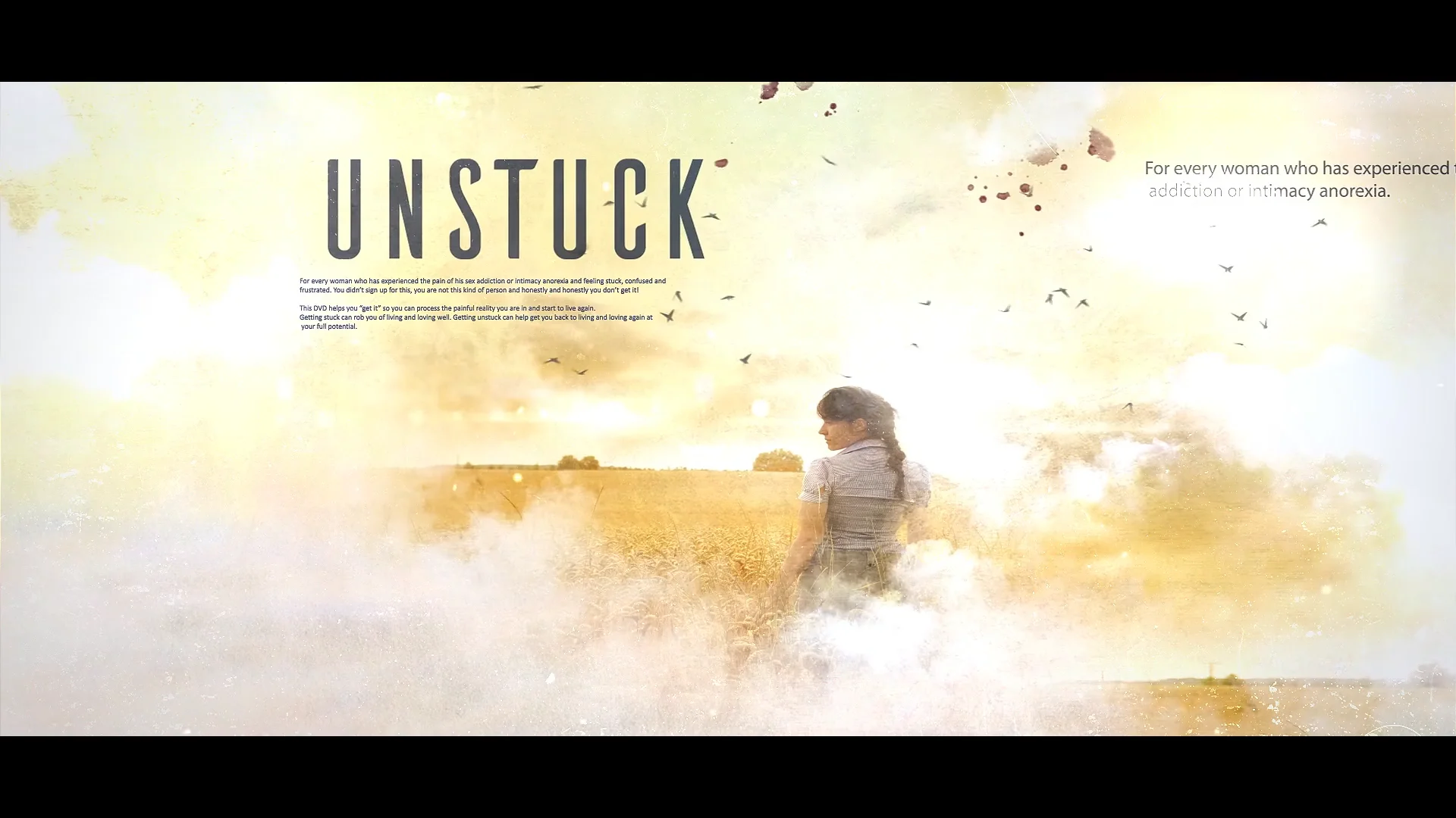Unstuck DVD - Partner Healing - Heart to Heart Counseling Center