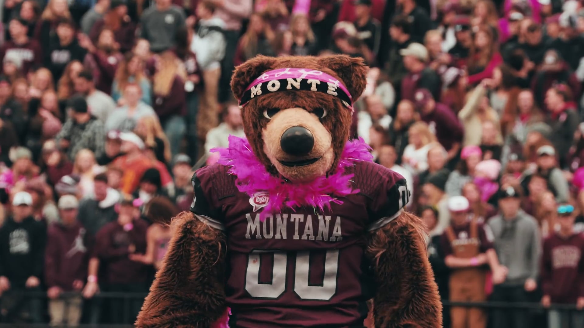 University of Montana | Grizzlies vs Eastern Washington Eagles