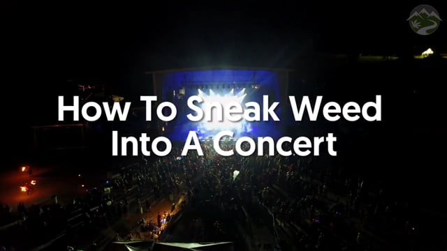 Cómo introducir marihuana en un concierto