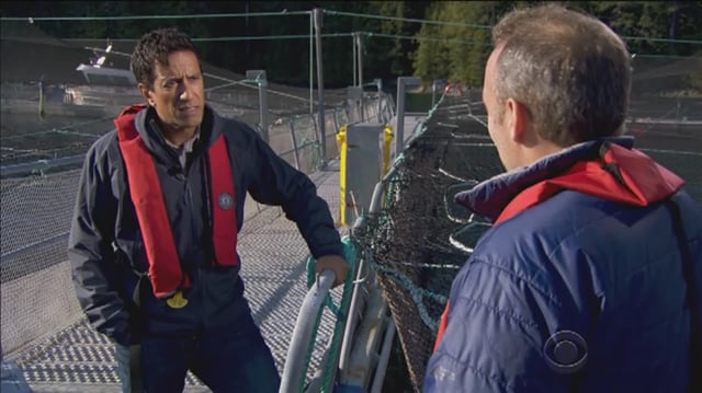 60 Minutes--Saving The Salmon (https://vimeo.com/theekevinely)