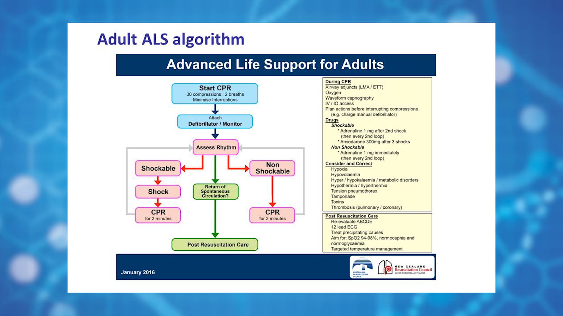 5. Presentation 5 - ALS algorithm on Vimeo
