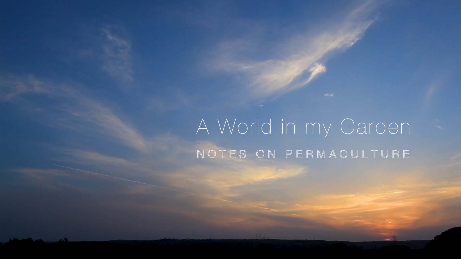 A World in my Garden