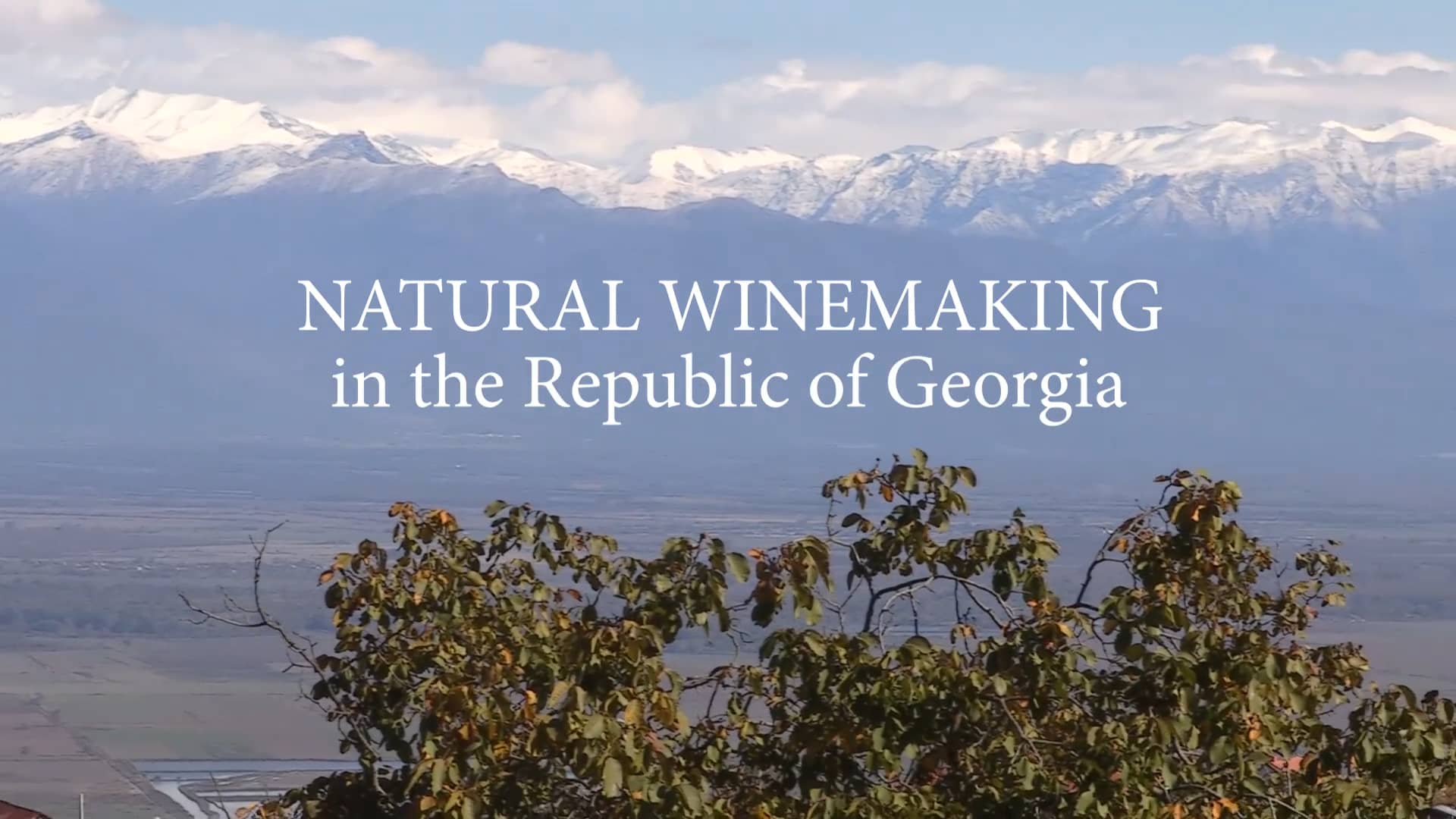Natural Winemaking in the Republic of on Vimeo