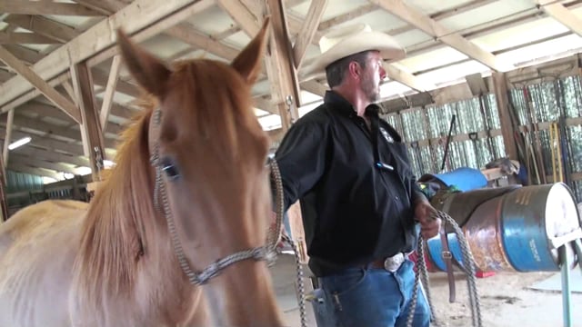Whinny Works Clinic 4-14-18 Working With Angel