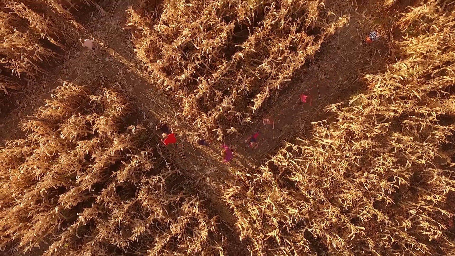 Staples: What's Your More?