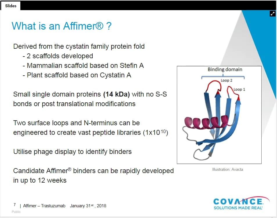 Bioanalytical Pharmacokinetics: The Intrinsic Value of Affimers on Vimeo