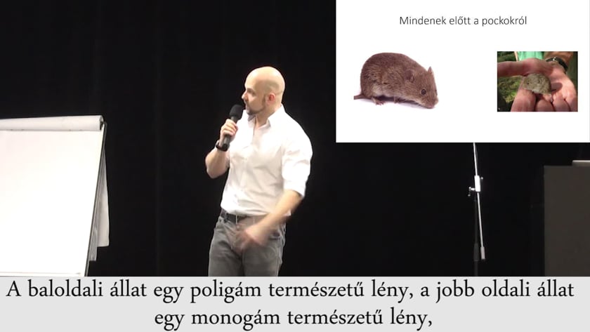 vimeo-video-thumbnail