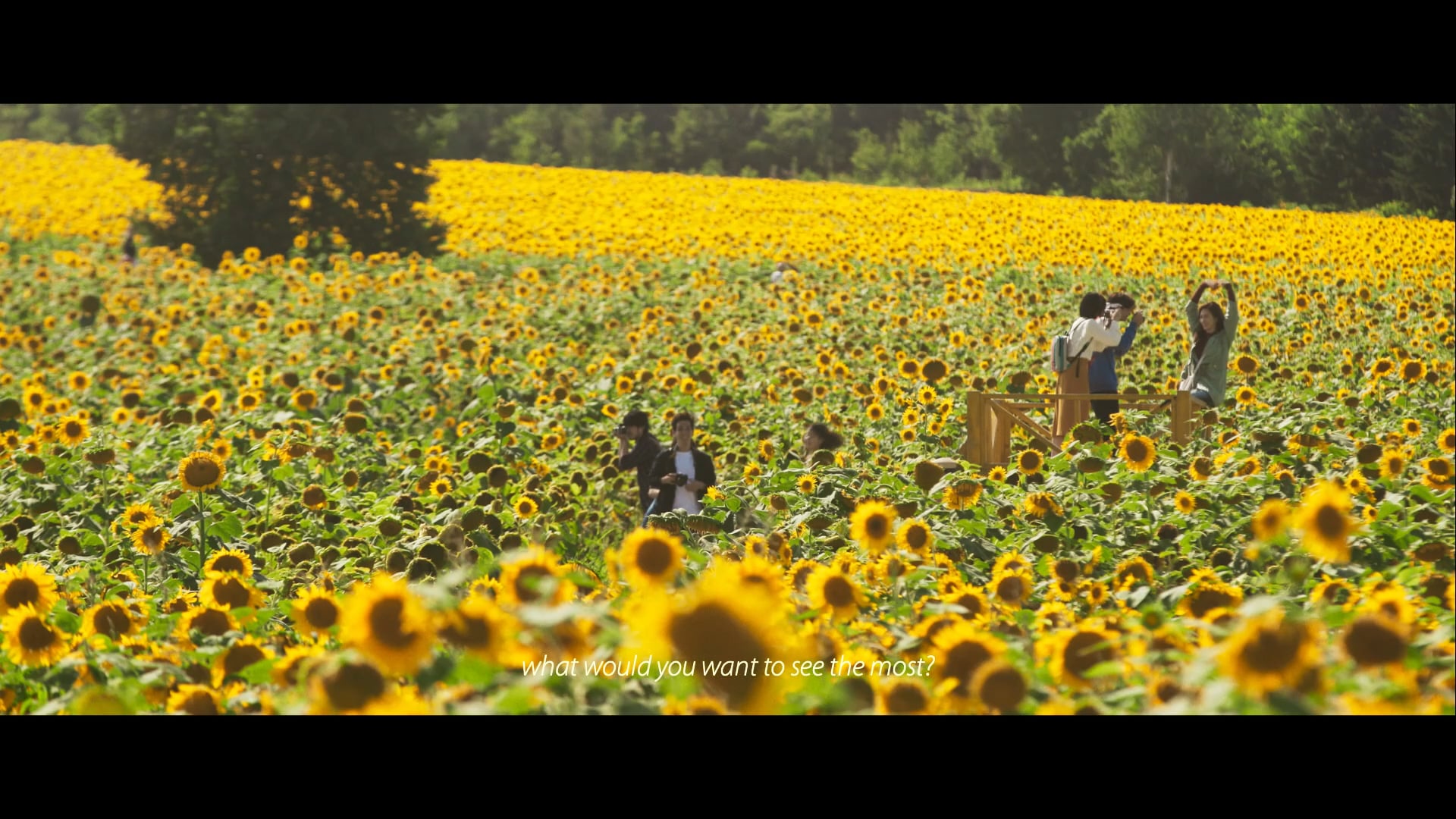 Summer In Closed Eyes | Official Trailer | Feature Film