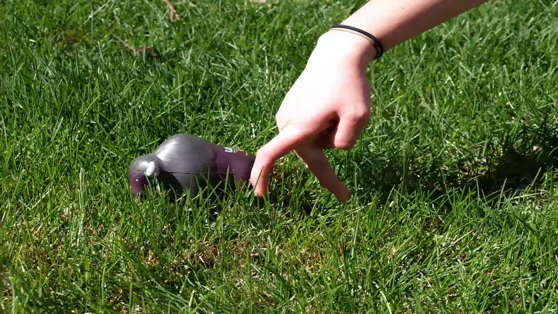 Stop Motion Final Project on Vimeo