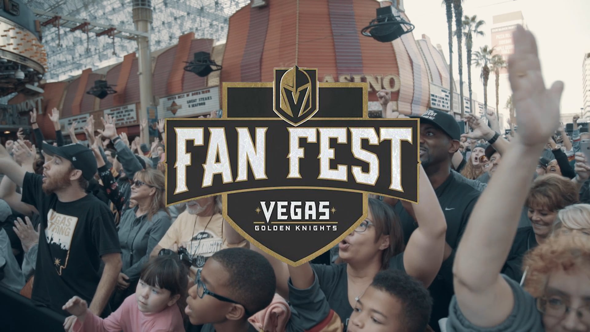 VGK Fan Fest DLVEC on Vimeo