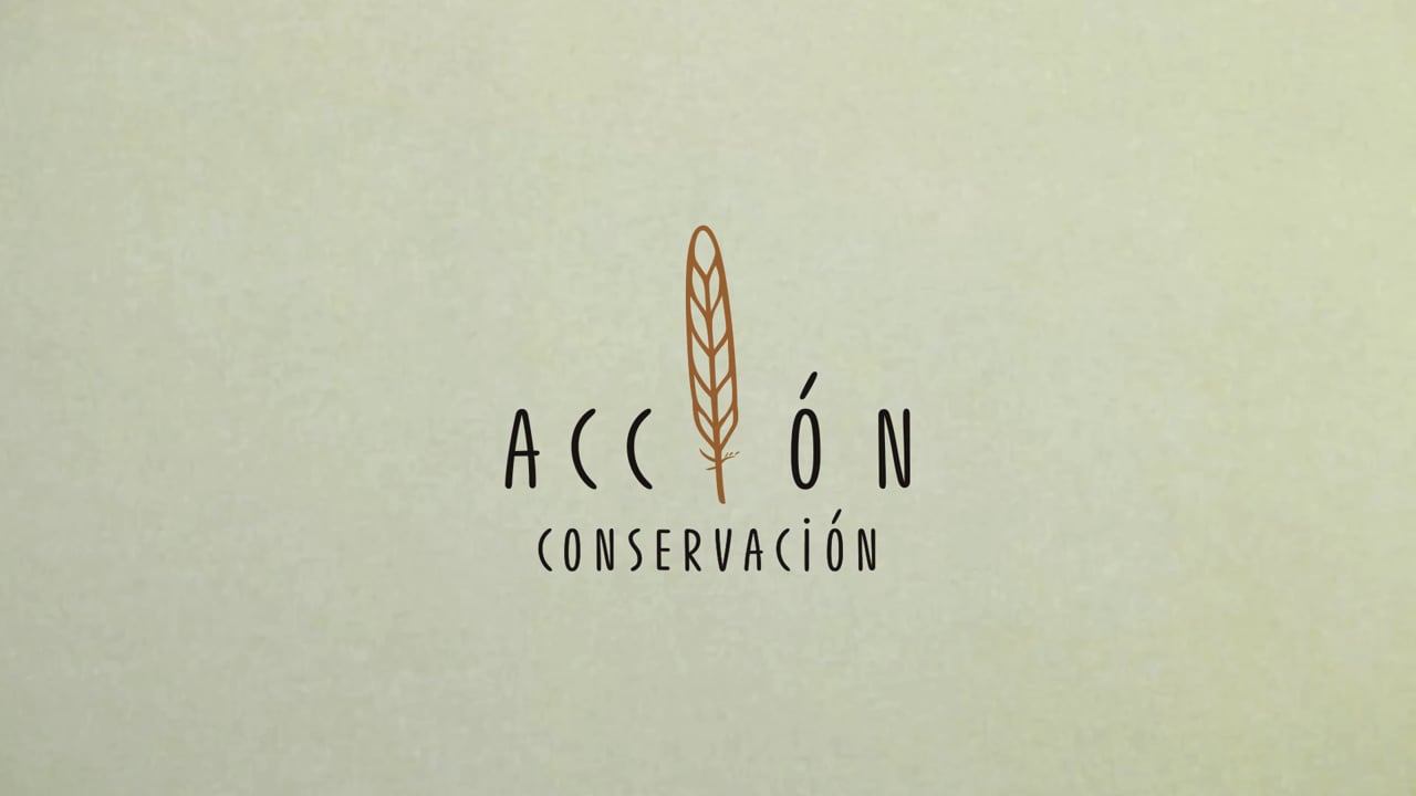 Acción Conservación (2018)