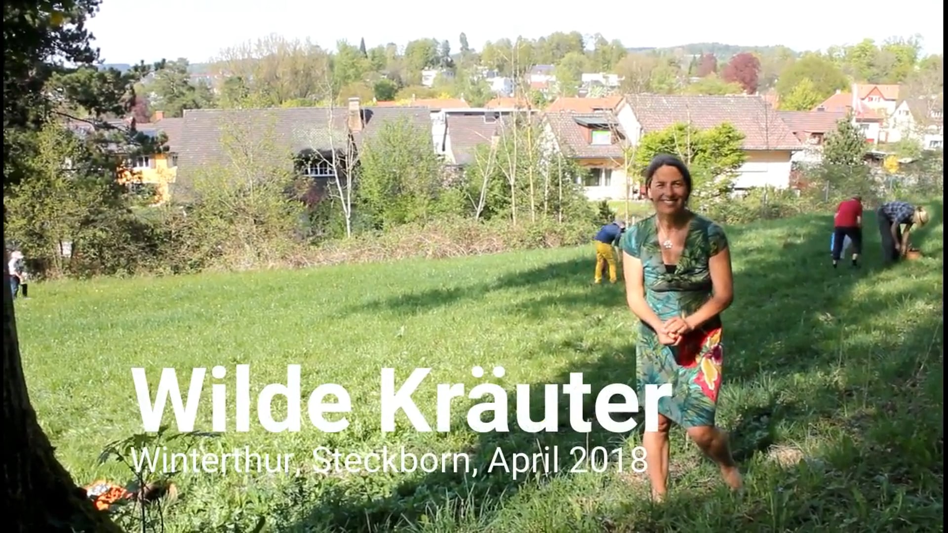 Nature Hero . Stefanie Gross-blau . Short Film