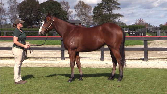 Lot 64