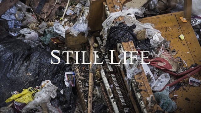 Still Life