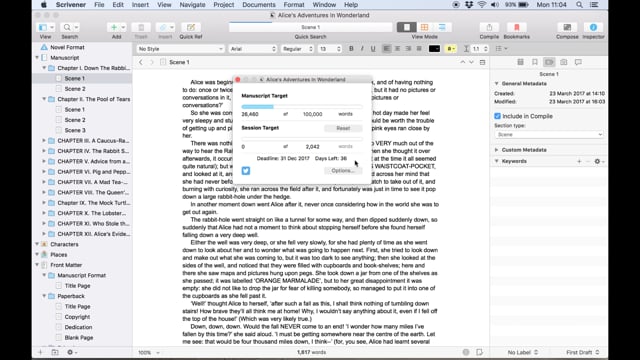 Setting Writing Goals