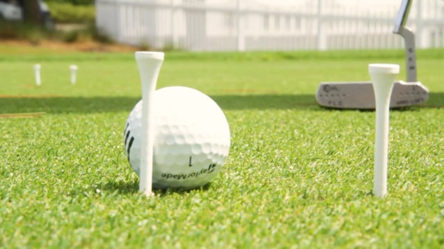 The Croquet Putting Game