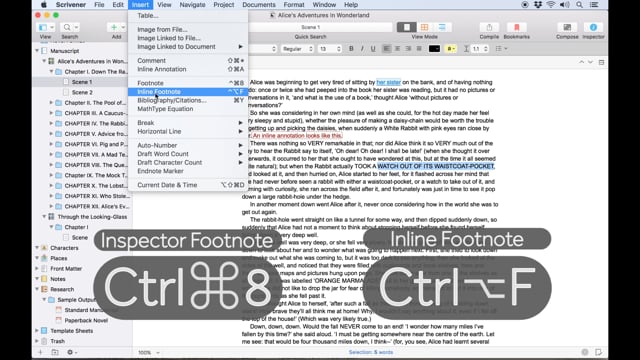 Adding Comments and Footnotes