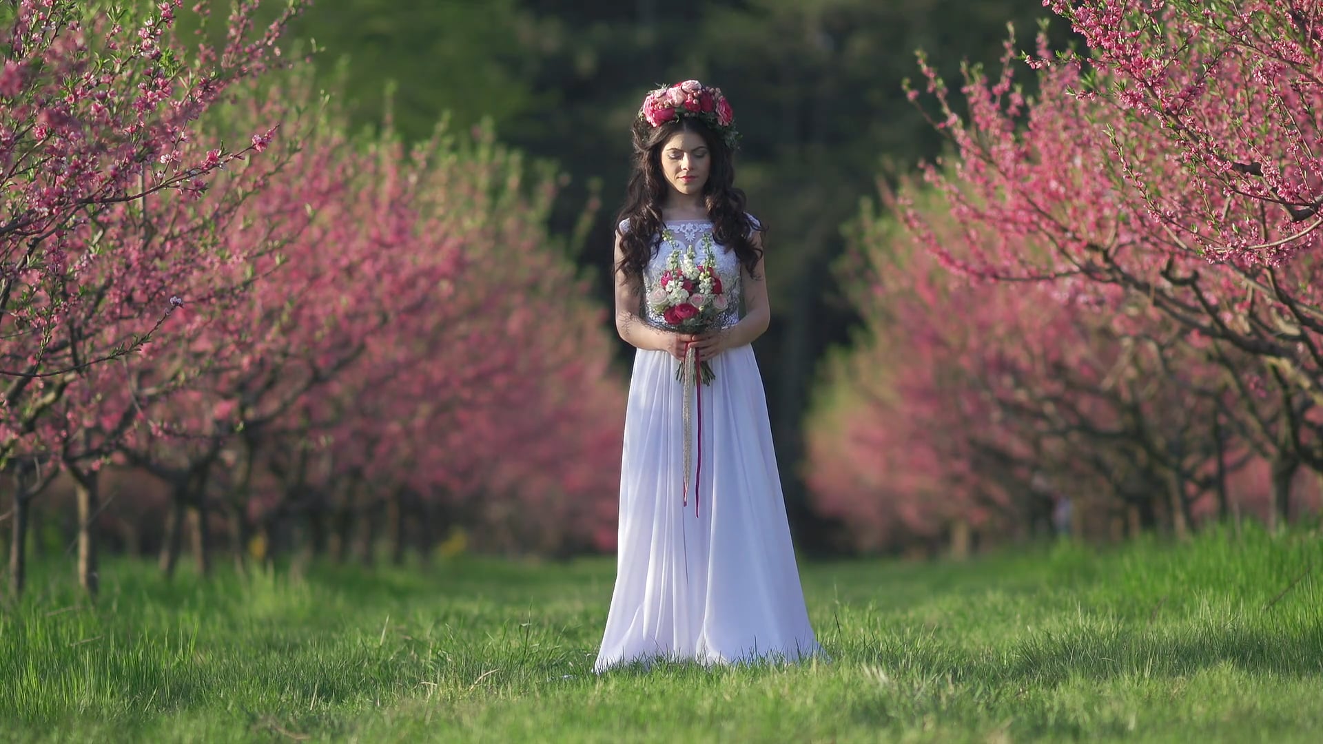 Spring editorial on Vimeo