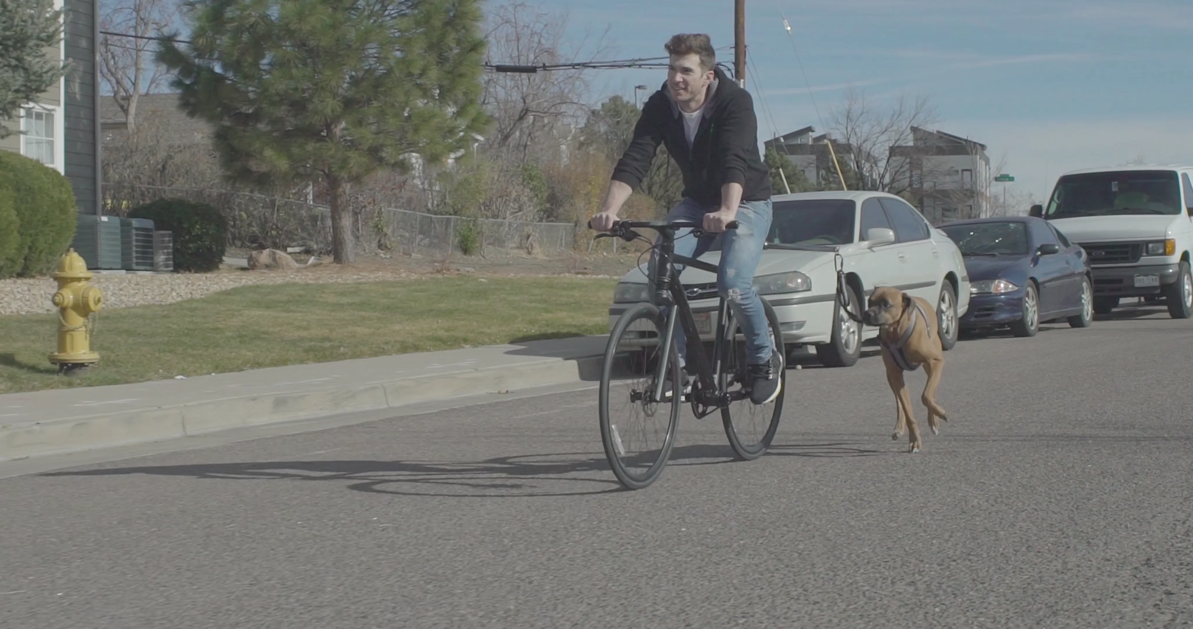 Cycle runner 2024 leash buddy