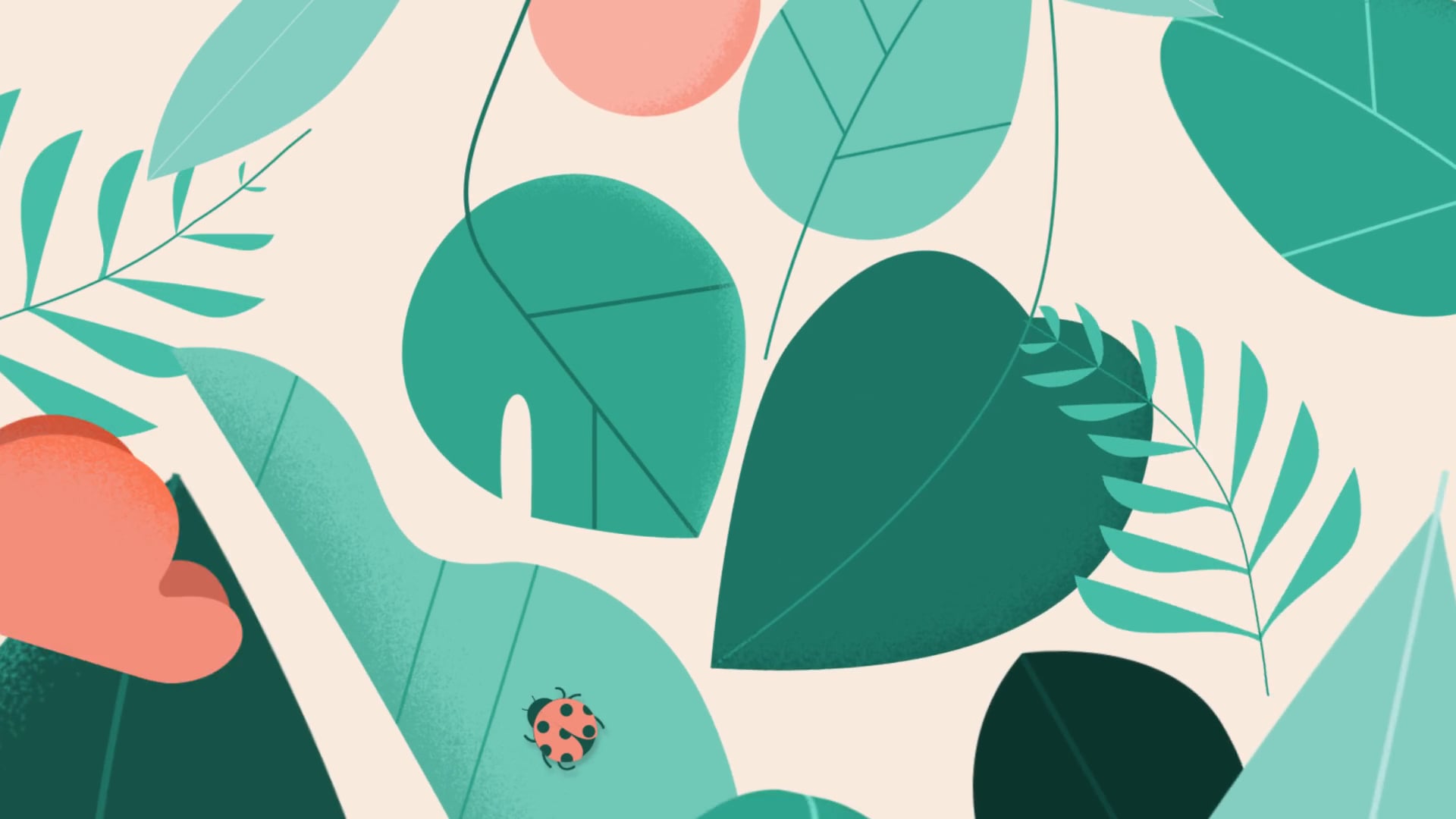 Facebook - Alegria Illustrations On Vimeo