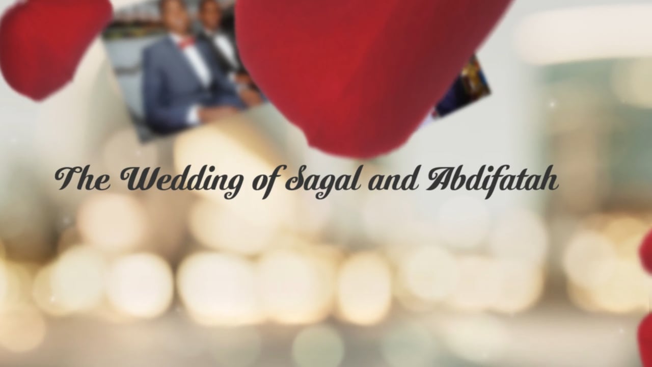 Wedding Video, Veri Photography