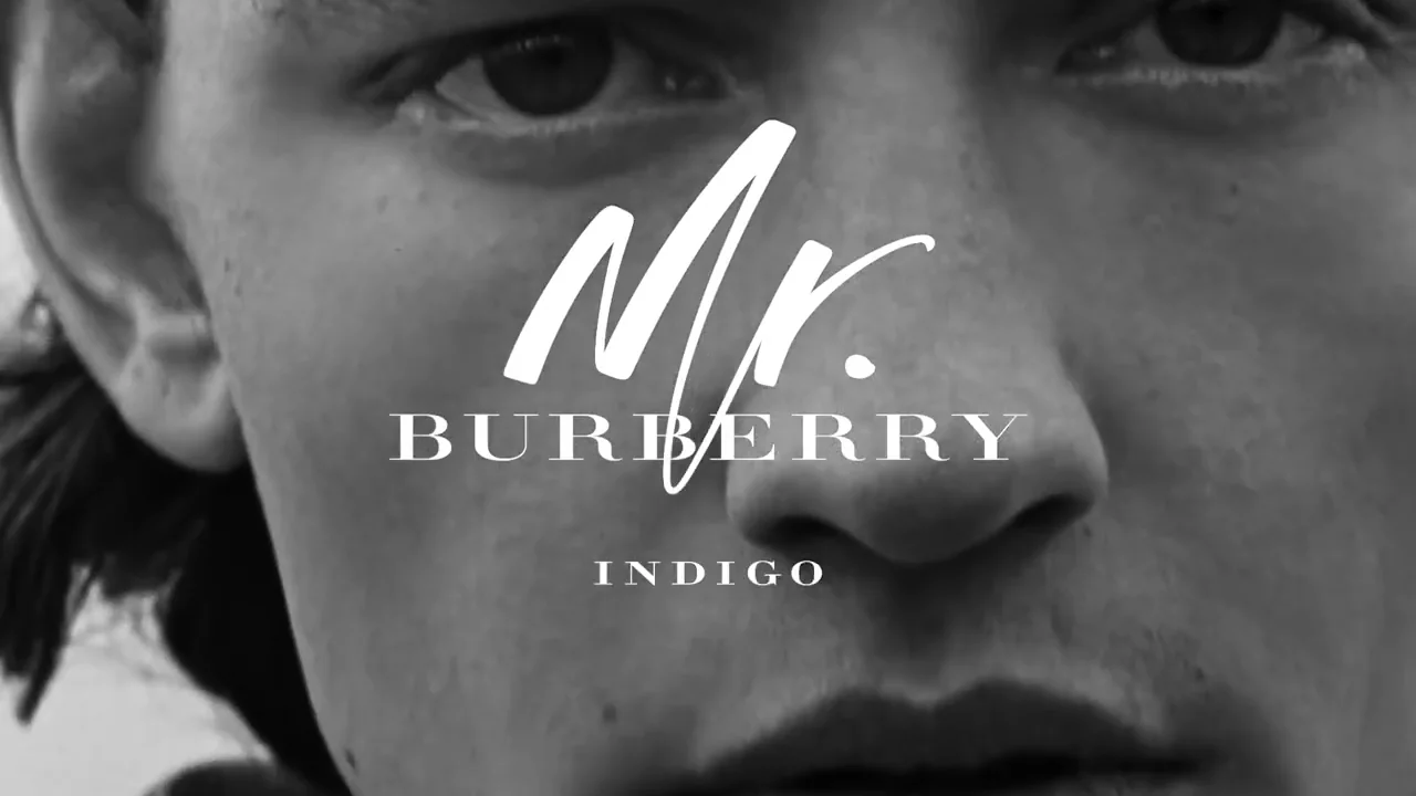 burberry indigo advert