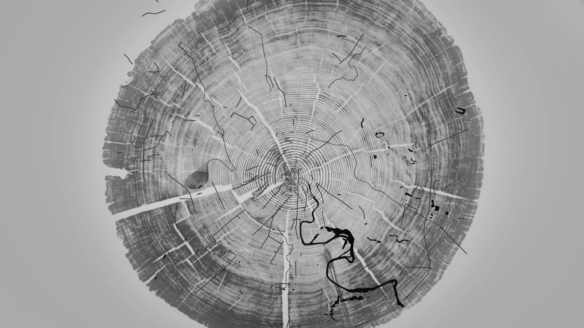 Subway station in Moscow. Nagatinsky Zaton station. IND archhitects