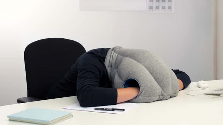 Original Napping Pillow