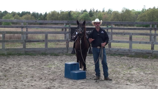 Whinny Works Clinic 4-14-18 Carmi & Macey